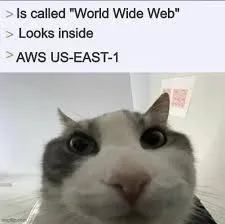 A tuxedo cat stares upward with wide, worried eyes below a text exchange: > Is called World Wide Web; > Looks inside; > AWS US-EAST-1.