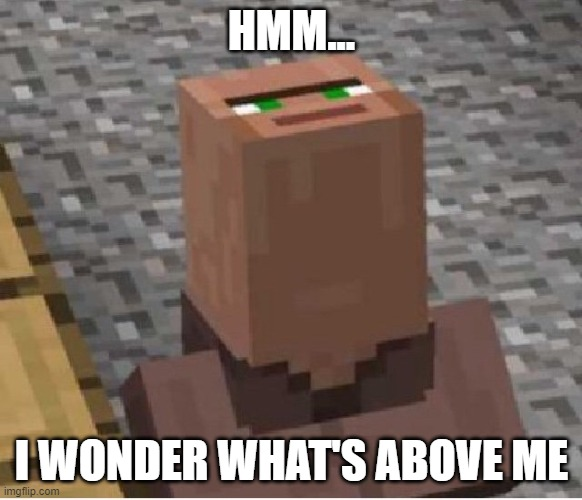 A Minecraft villager looking straight up with the caption: HMM... I WONDER WHAT'S ABOVE ME